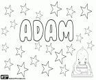 Adam, male name of biblical origin, name of the first man created by God. Adam, name in many languages that comes from the same Hebrew word meaning man or human being