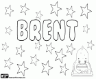 Brent, male name of English origin. Brent, also used as a diminutive of Brenton. Brent, an English surname with several possible origins