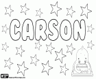 Carson, name of English and Scottish origin, mainly used as masculine name but also used for women. Carson, name that comes from the same surname, its meaning is son of the inhabitants of the marshes
