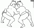 A combat of sumo, a Japanese combat sport. The combat area, with a circular shape made of clay and sand, is called dohyō