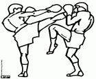 Full Contact is a combat sport that combines boxing with other martial arts