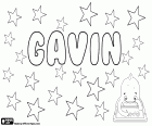 Gavin, male name in English, French and Scottish that comes from the medieval name Gawain