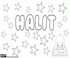 Halit, male name used in Turkey, comes from the Arabic name Khalid or Khaled which means eternal