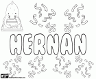 Hernan, variant of Hernando and Fernando, masculine name in Spanish with Germanic origin