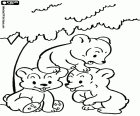 Three little bears playing under the shadow of a tree