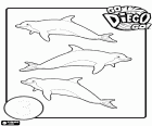 Diego and their three dolphins to learn the number 3