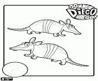 Two armadillos from Diego to learn the number 2