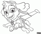 Skye, the female cockapoo of Paw Patrol. Skye loves to fly and is responsible for the air rescue