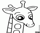 A young giraffe, in its face reflects the curiousity to discover everything, common attitude of childhood and youthfulness