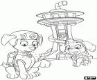 Zuma and Skye are outside of the headquarters of Paw Patrol. The puppies receive the alert signal in their interactive necklaces