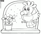 A cockatoo during the celebration of Christmas in a window next to a poinsettia, a Christmas flower