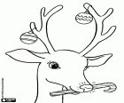The head of the young reindeer happy with the Christmas ornaments and a candy cane-shaped