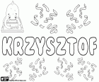 Krzysztof, Polish male name, derived from the Greek name Khristophoros or Christophoforos