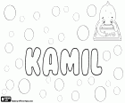 Kamil, name of Latin origin for boy in different languages, derived from the Roman name Camillus, name in Polish, Czech and Slovak. Kamil, male name of Arabic origin, variant of Kamal or Kamel