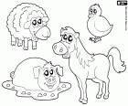 A group of four animals from the farm. In this coloring picture there is a sheep, a chick, a pig in the mud and a horse