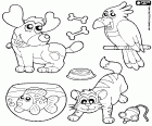 Coloring page with four pets or domestic animals such as a dog with your meal, a cat with his toy mouse, a cockatoo and a goldfish