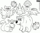 Some forest animals as a bear, a squirrel, an owl and a pair of butterflies along with a mushroom and a few firs and the strain of a felled tree
