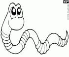 A worm with large eyes and ringed body