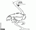 A happy and funny ostrich