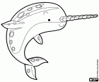 A narwhal, a whale with a pointed long tusk