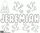 Jeremiah, male name in English, name of Hebrew origin, name of biblical tradition, the prophet Jeremiah