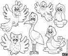A group of six birds of different species: among them a cockatoo, an owl, a wading bird, a simple bird, a Penguin and a duck