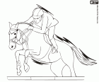 Horse riding, equestrian sports at the Summer Olympics. The three olympic disciplines are dressage, eventing and jumping
