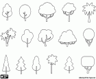 Small drawings with different types of trees according to their shape