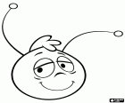 The face of Willy, often a sleepy face, the best friend of Maya the bee