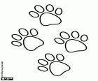 Footprints of the four legs of the little dog