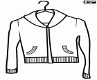 A sports sweater, a textile jacket with zipper for women