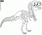 Reconstruction of a dinosaur skeleton in a museum. The remains of the skeleton of a prehistoric animal that was found in archaeological excavations