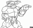 The turtle ninja Michelangelo with his favorite weapon, two nunchakus