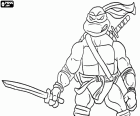 Leonardo is the ninja turtle of the katanas. Leonardo with a katana in his hand and the other on his back