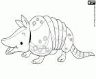 An armadillo, a unmistakable nocturnal mammal American