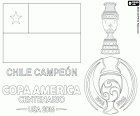 Chile, twice champion of the Copa America 2015 and 2016. The Chile national football team is the champion of the Copa America Centenario 2016, it has defeated Argentina in the penalty shoot-out, the result of the match was 0-0. The chileans Alexis Sanchez has been the best player of the tournament, Claudio Bravo has been the best goalkeeper and Eduardo Vargas has been the top scorer