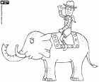 The explorer traveling on an elephant during his adventures