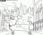 In this coloring page the dog Max on the sidewalk of a street of Manhattan, New York. The Secret Life of Pets
