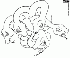 Hydra is a mythical creature in the form of a serpent with many heads in Greek and Roman mythologie