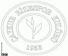 Logo of Çaykur Rizespor Kulübü, Çaykur Rize Spor Kulübü, sports club of Rize, coastal city in the eastern of the Black Sea region and capital of the homonym province