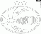 Logo of Esporte Clube Juventude, football club of Caxias do Sul, city of the state Rio Grande do Sul, in the south of Brazil