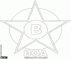 Emblem of Boa Esporte Clube, sports club with headquarters in Varginha, municipality of the Minas Gerais State, Southeast Region of Brazil
