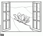 A window open to the spring arrival. A flowery branch of a magnolia tree, a spring scene from a window