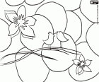 A coloring spring scene with two small birds and two flowers