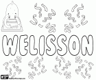 Welisson, male name of unknown origin used in Brazil, variant of Wellisson and Welison