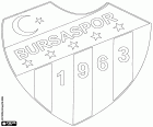 Badge of Bursa Spor Kulübü, Bursaspor Kulübü, football club with headquarters in Bursa, city in the northwest of Anatolia and capital of the province with the same name