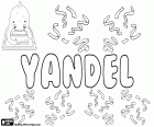 Yandel, name popularized by a Puerto Rican singer, adaptation of Llandel as artistic name