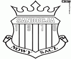 Emblem of Miejski Klub Sportowy Sandecja Nowy Sącz, football club based in Nowy Sącz, city at the confluence of the rivers Kamienica and Dunajec, in the South of Poland in the Lesser Poland Voivodeship