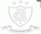 Emblem of America Futebol Clube, known as America Mineiro, football club with headquarters in Belo Horizonte, capital of the Minas Gerais State in the southeast of Brazil