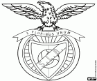 Shield of Sport Lisboa e Benfica, known as Benfica, sports club and football club with headquarters in São Domingos de Benfica, district of Lisbon, located in the north of the Portuguese capital